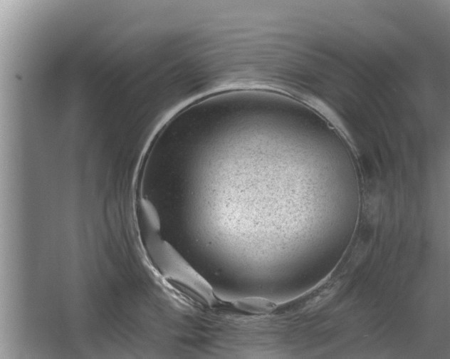 X0000068281004200604281613