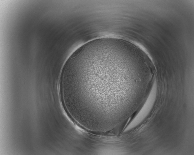 X0000068281007200604281613