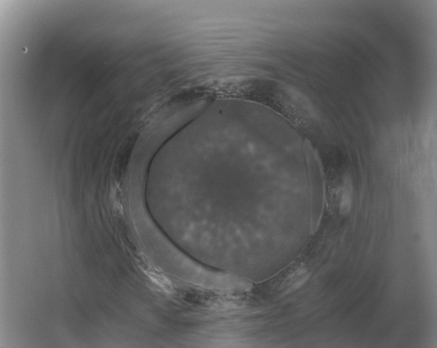 X0000068281010200604281612