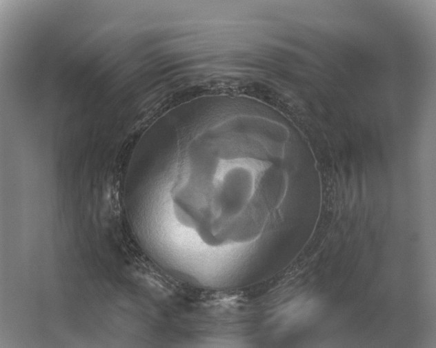 X0000068281013200604281612