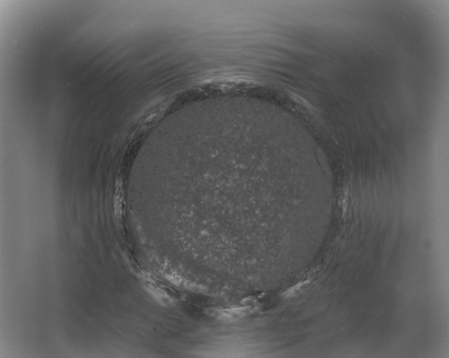 X0000068281014200604281612