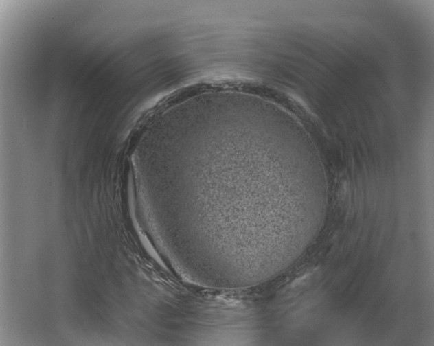 X0000068281016200604281612