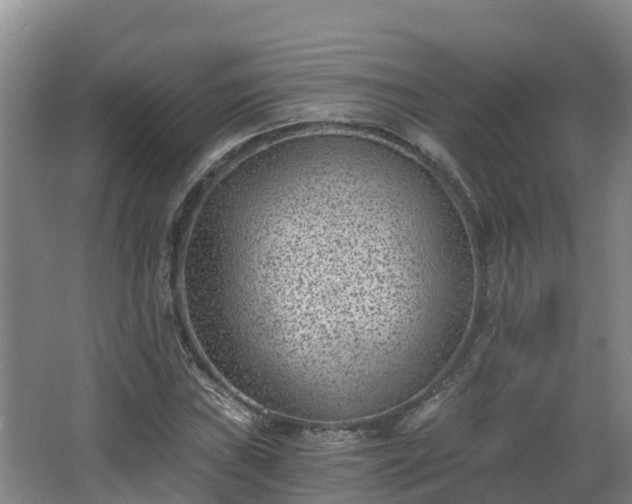 X0000068281019200604281612