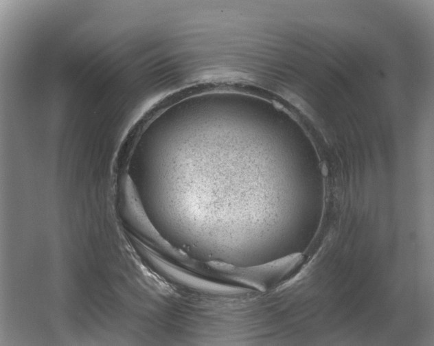 X0000068281022200604281612