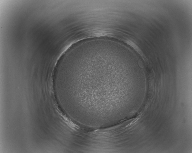 X0000068281023200604281612