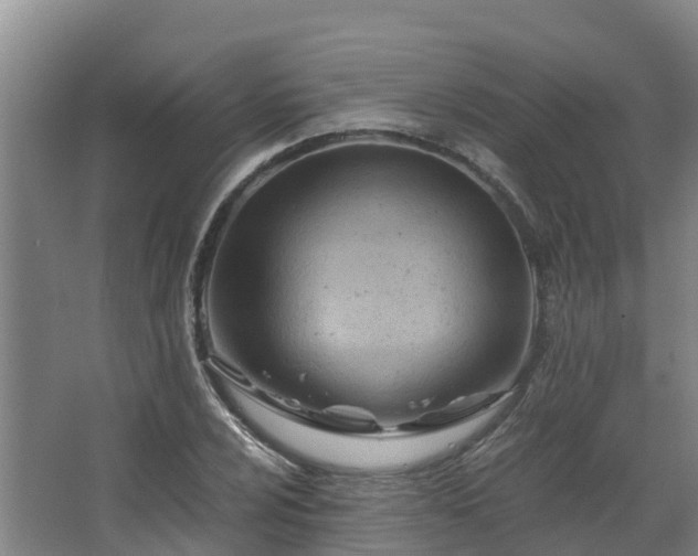 X0000068281024200604281612