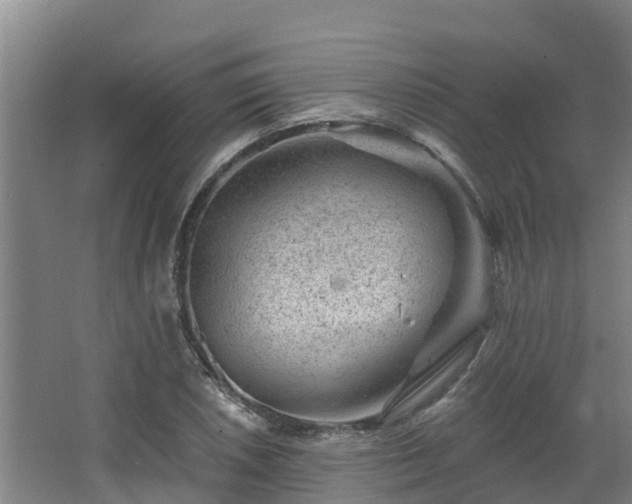 X0000068281026200604281612