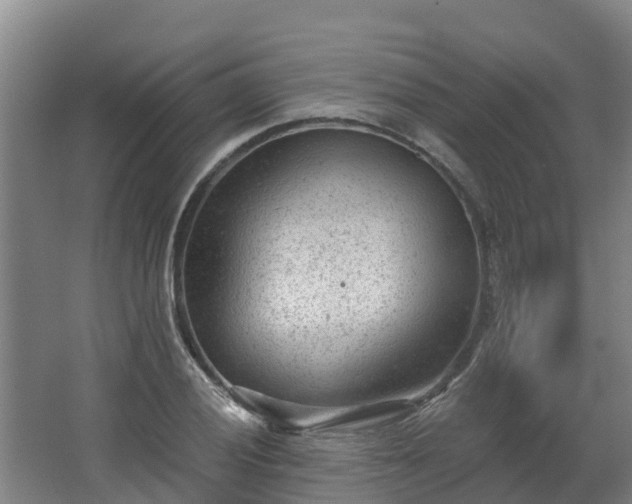 X0000068281028200604281612