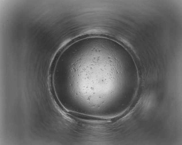 X0000068281029200604281612