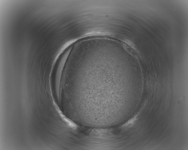 X0000068281030200604281612