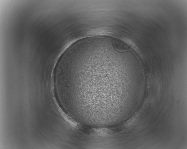 X0000068281031200604281612