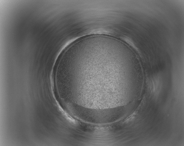 X0000068281032200604281612