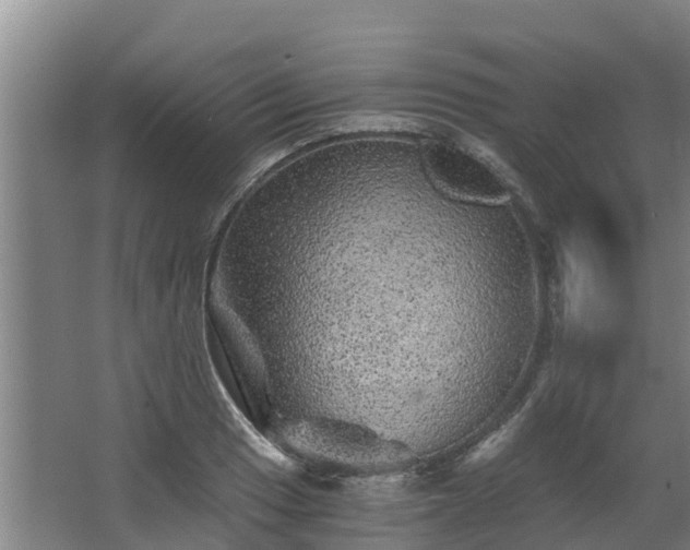 X0000068281033200604281612