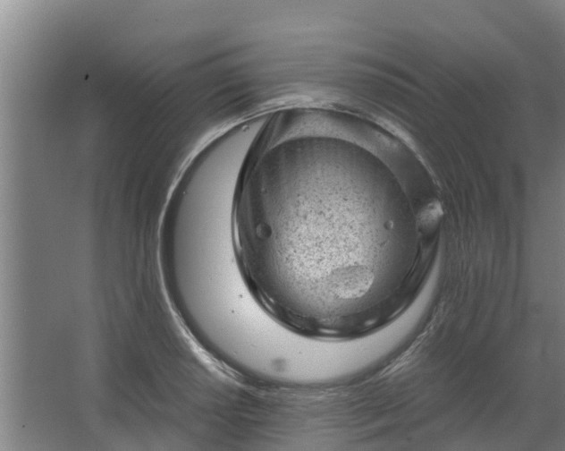 X0000068281034200604281612