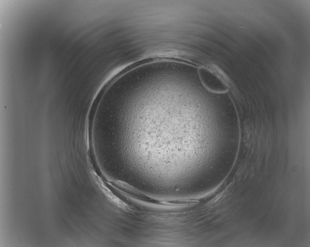 X0000068281036200604281612