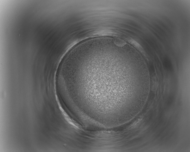 X0000068281039200604281612