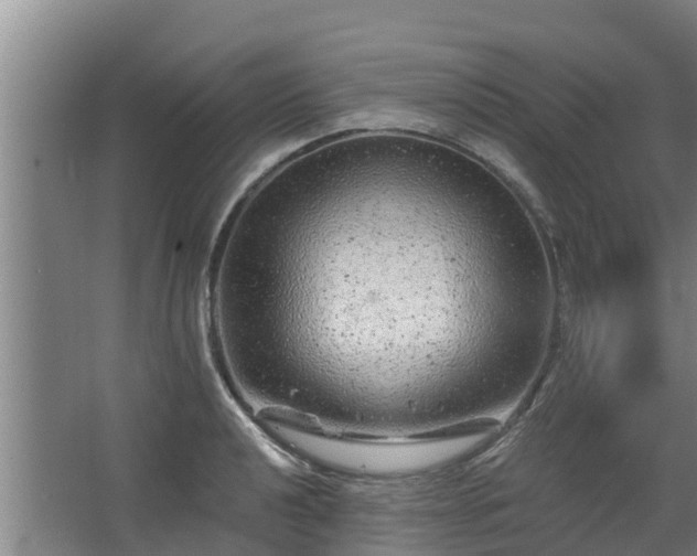 X0000068281040200604281612