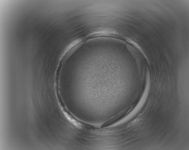 X0000068281042200604281612