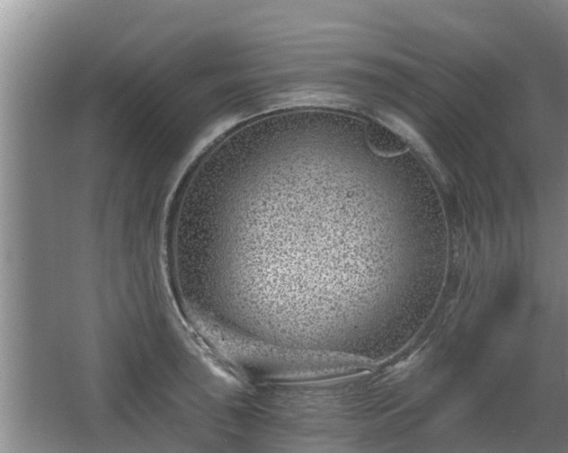 X0000068281043200604281612