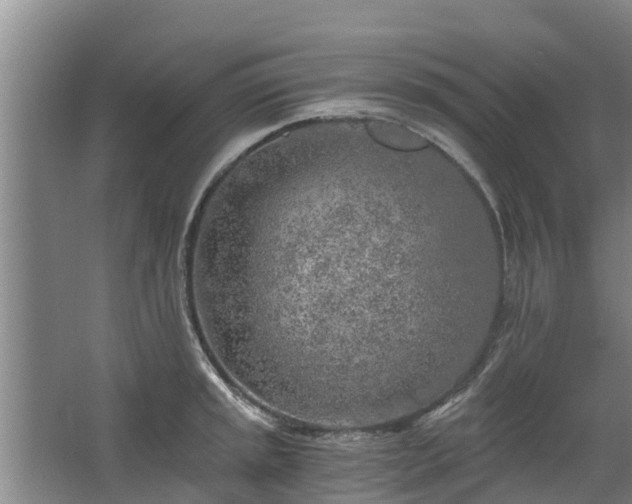 X0000068281045200604281612