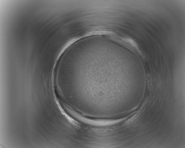 X0000068281046200604281612