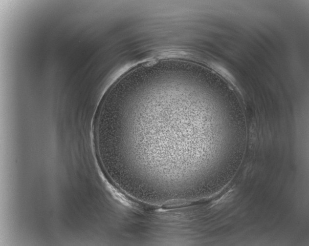 X0000068281047200604281612