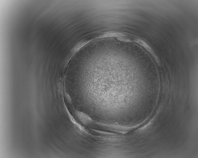 X0000068281049200604281612