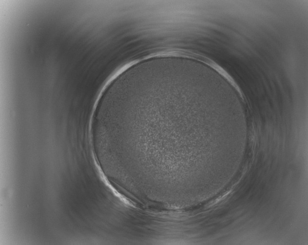 X0000068281053200604281612