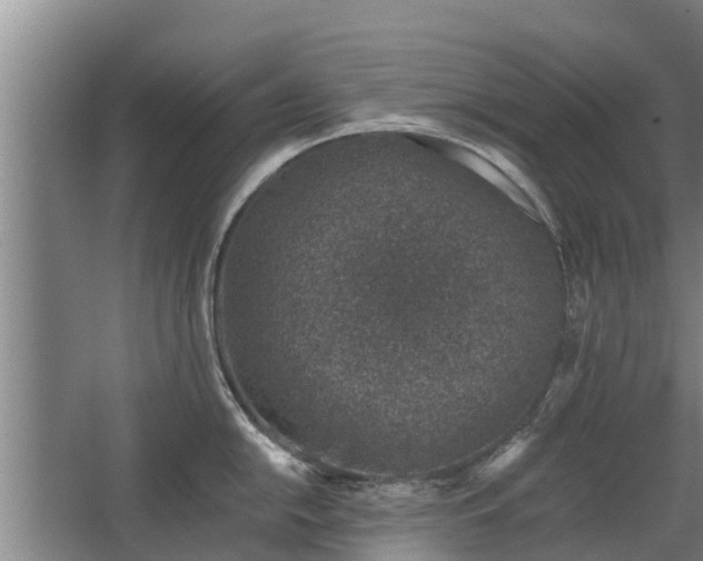 X0000068281054200604281612