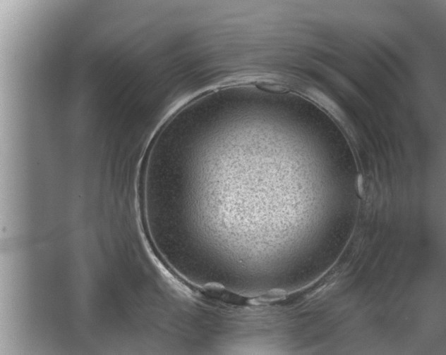 X0000068281055200604281612