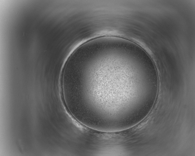 X0000068281056200604281612