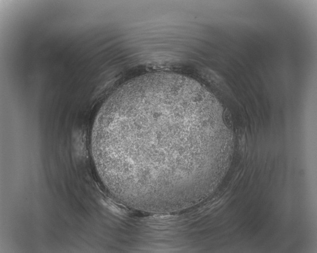 X0000068281060200604281612