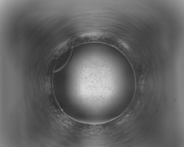 X0000068281062200604281612