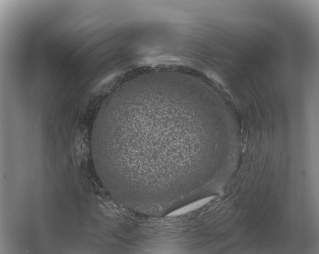 X0000068281063200604281612