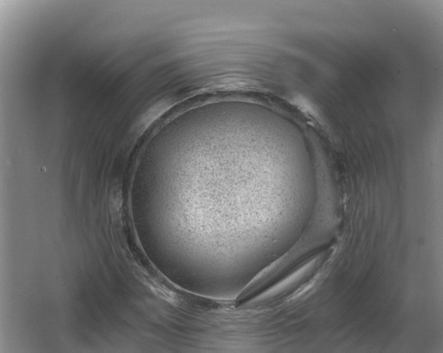 X0000068281065200604281612