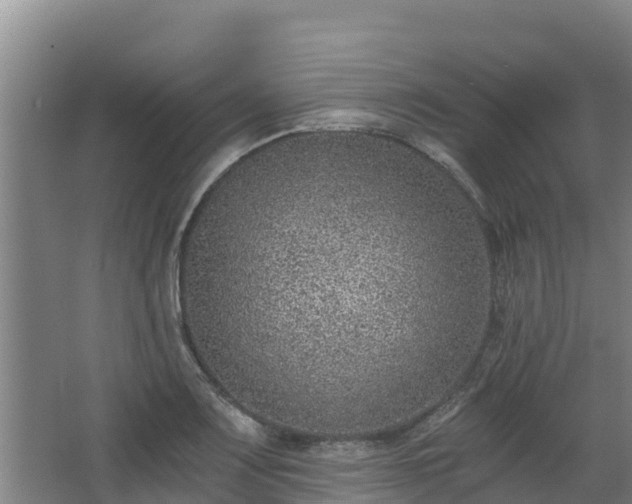 X0000068281083200604281611