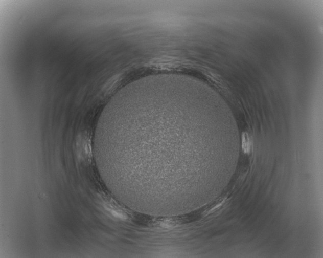 X0000068281155200604281610