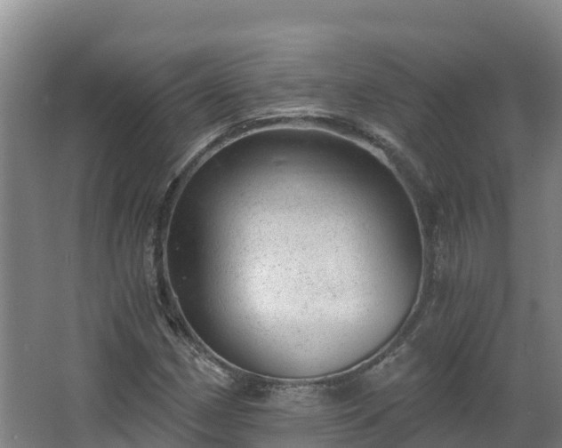 X0000068281162200604281610
