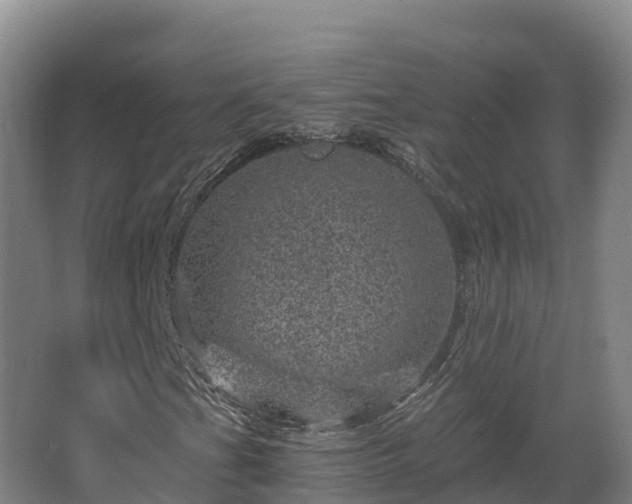 X0000068281201200604281608