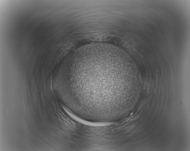 X0000068281202200604281608