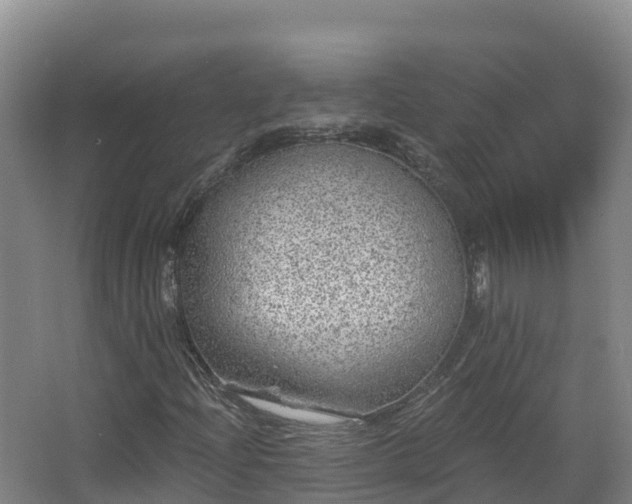 X0000068281204200604281609