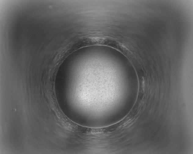 X0000068281249200604281608