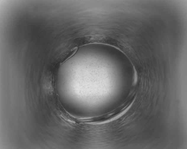 X0000068281250200604281608