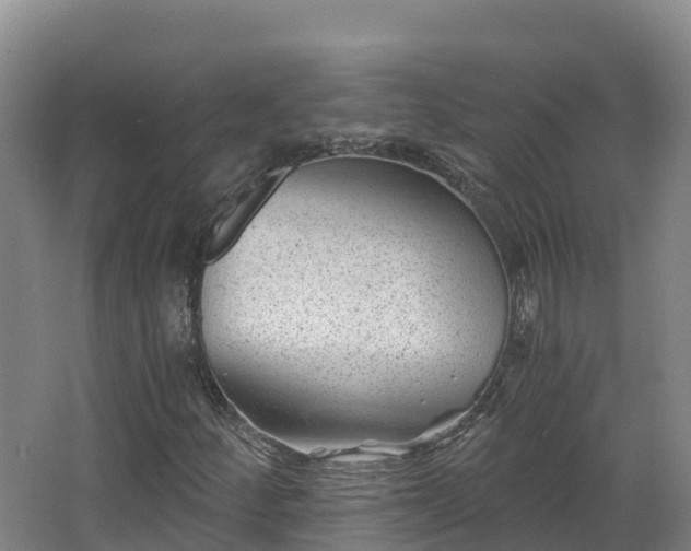 X0000068281252200604281608