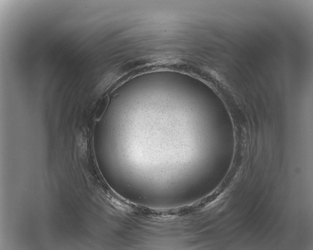 X0000068281257200604281608