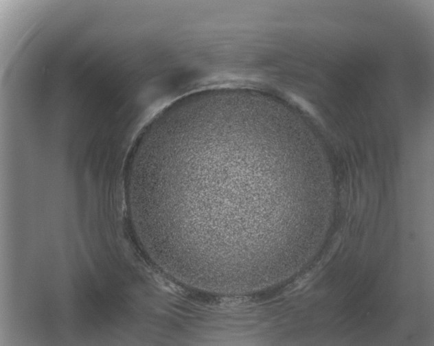 X0000068281267200604281608