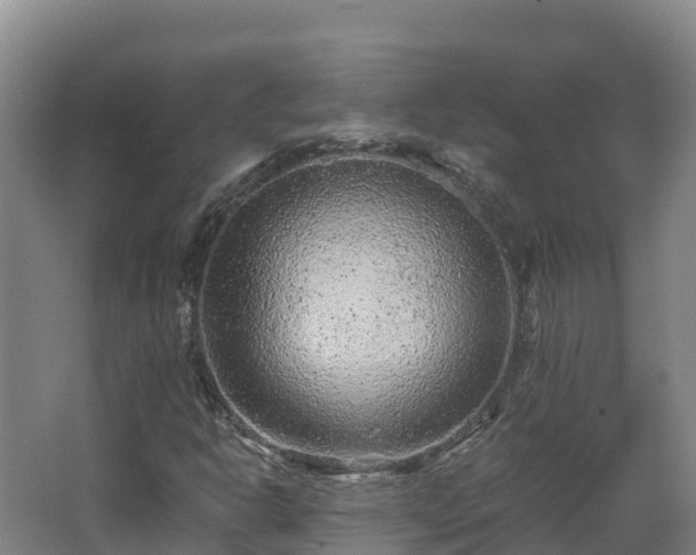 X0000068281302200604281607