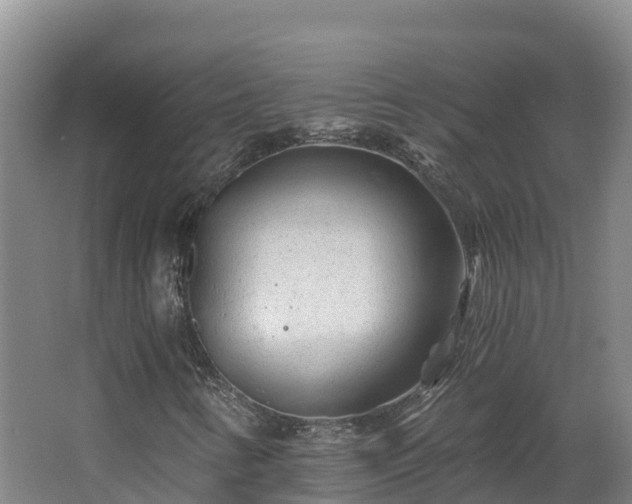 X0000068281346200604281607