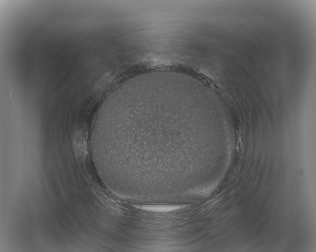 X0000068281348200604281607