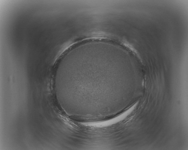 X0000068281352200604281607